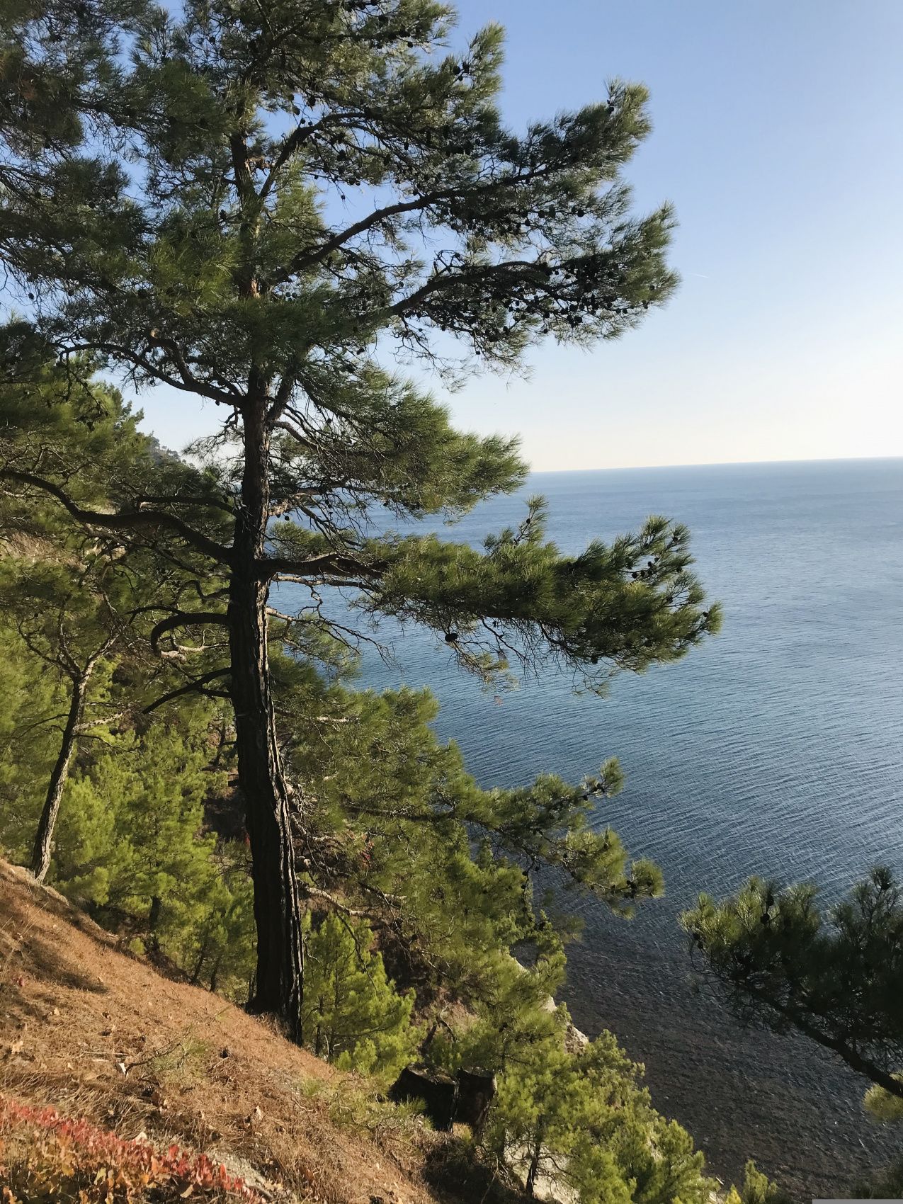 Город мечты - выходные в Геленджике (13/51)