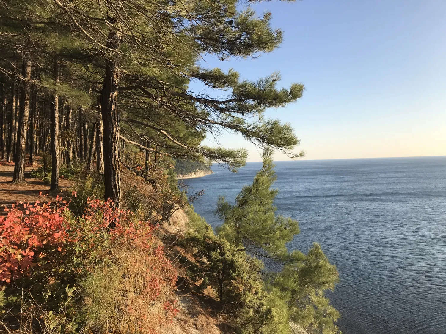 Город мечты - выходные в Геленджике (16/51)