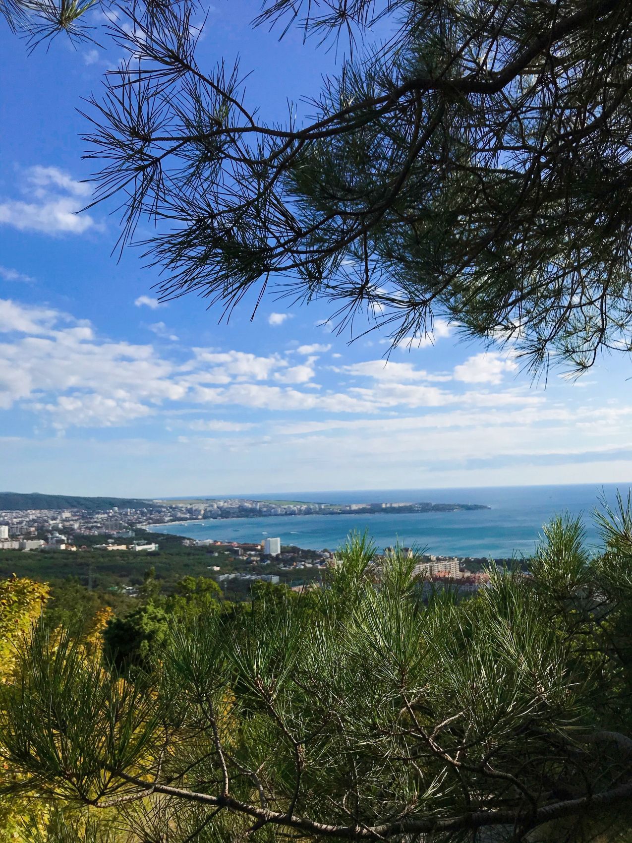 Город мечты - выходные в Геленджике (2/51)