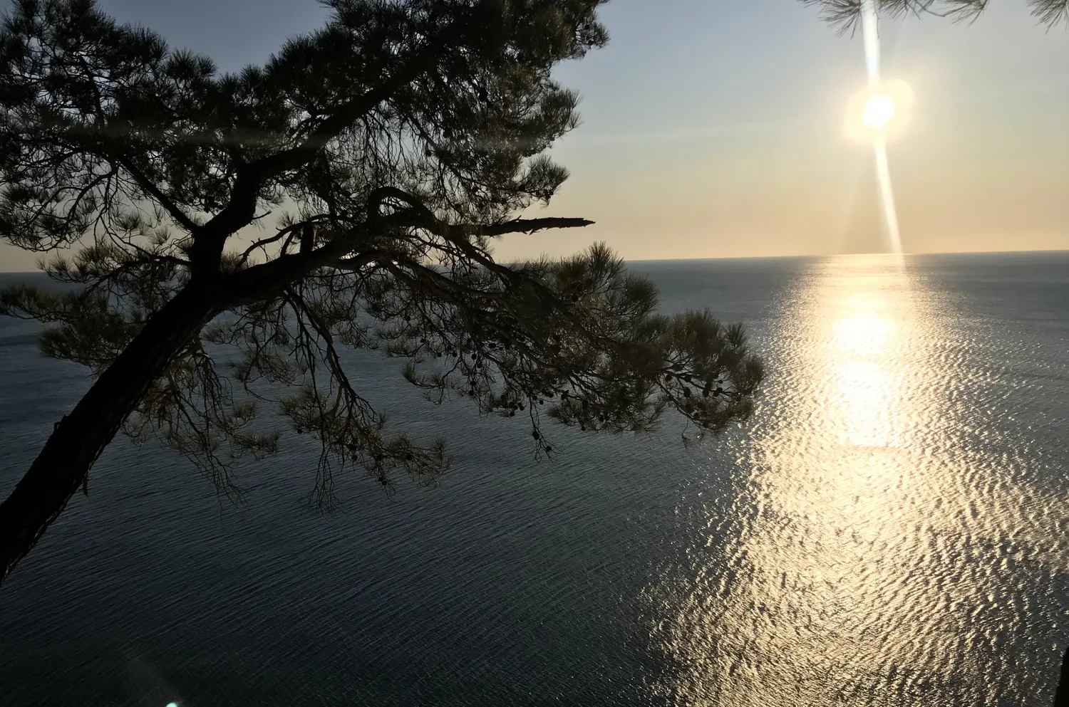 Город мечты - выходные в Геленджике (19/51)