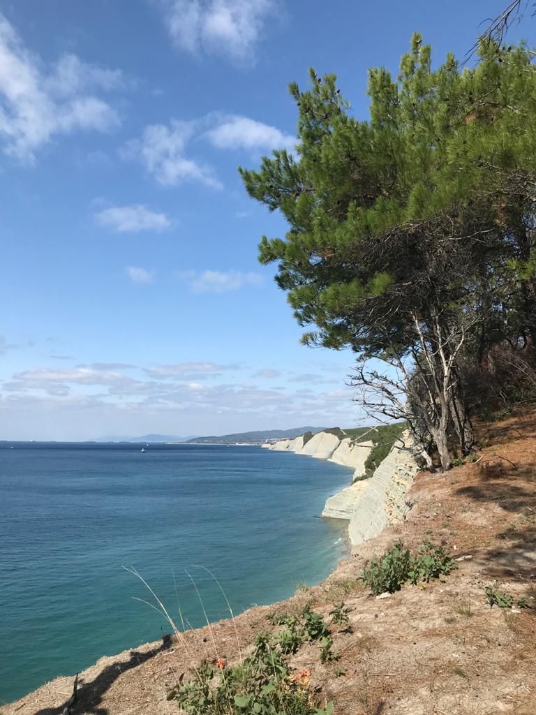 Город мечты - выходные в Геленджике (7/51)