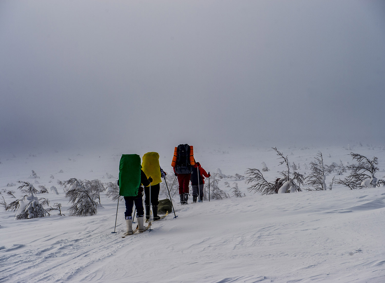 Лыжный поход на Маньпупунёр (11/37)