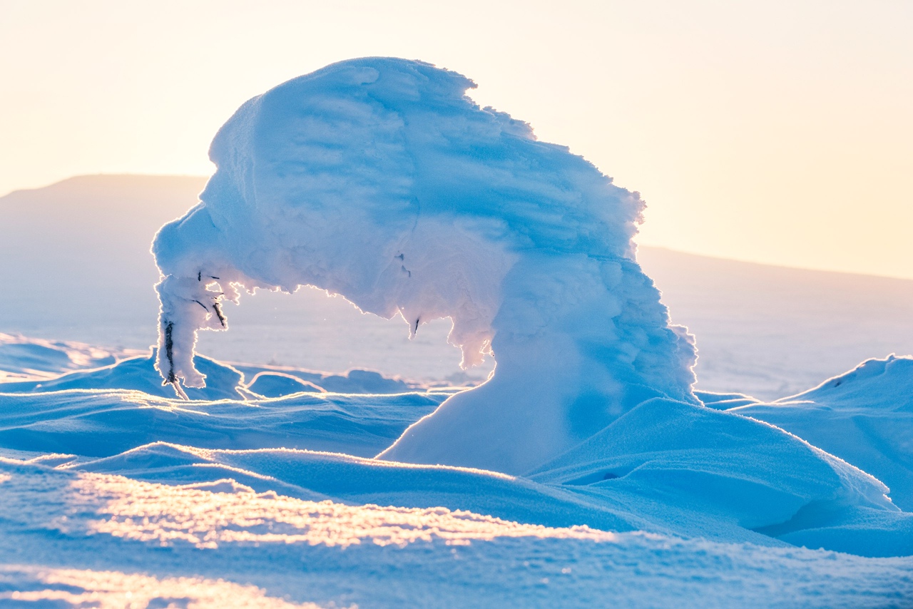 Лыжный поход на Маньпупунёр (7/37)