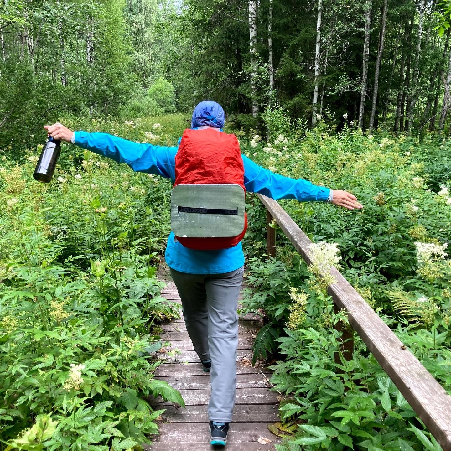 Кенозерские парусные практики - 8 дней. (5/72)