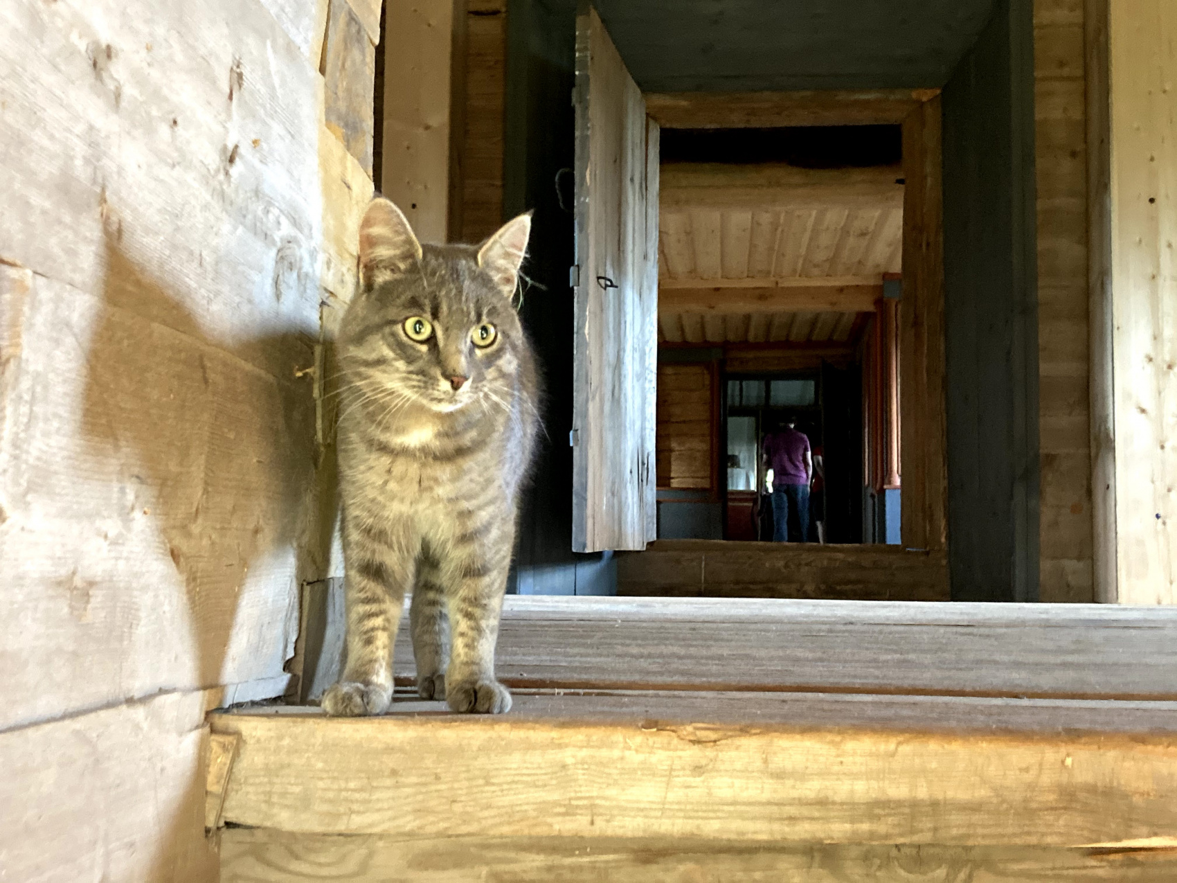 Кенозерские парусные практики - 8 дней. (7/72)