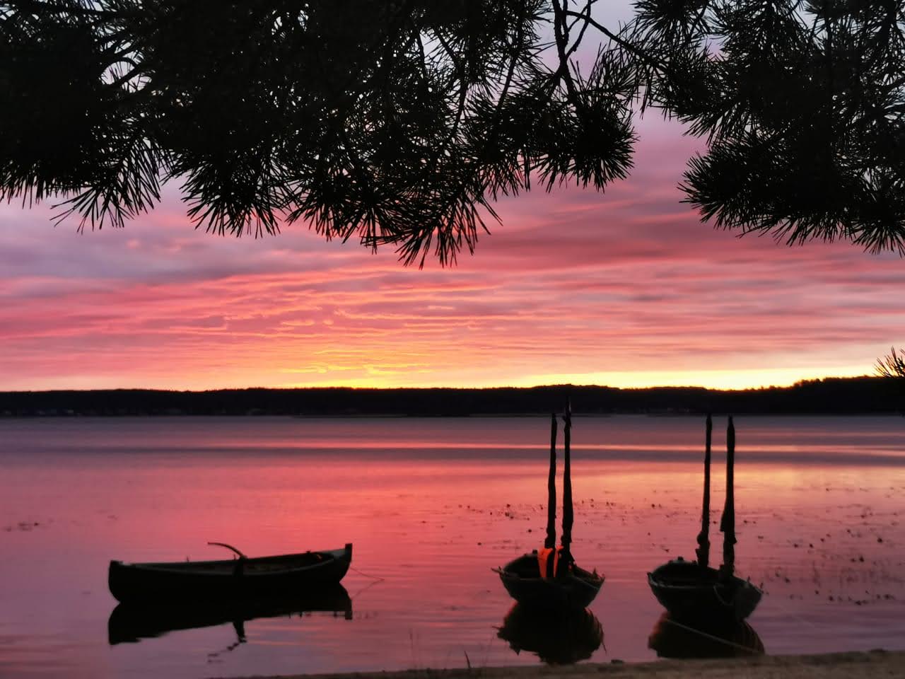 Кенозерские парусные практики - 8 дней. (26/72)