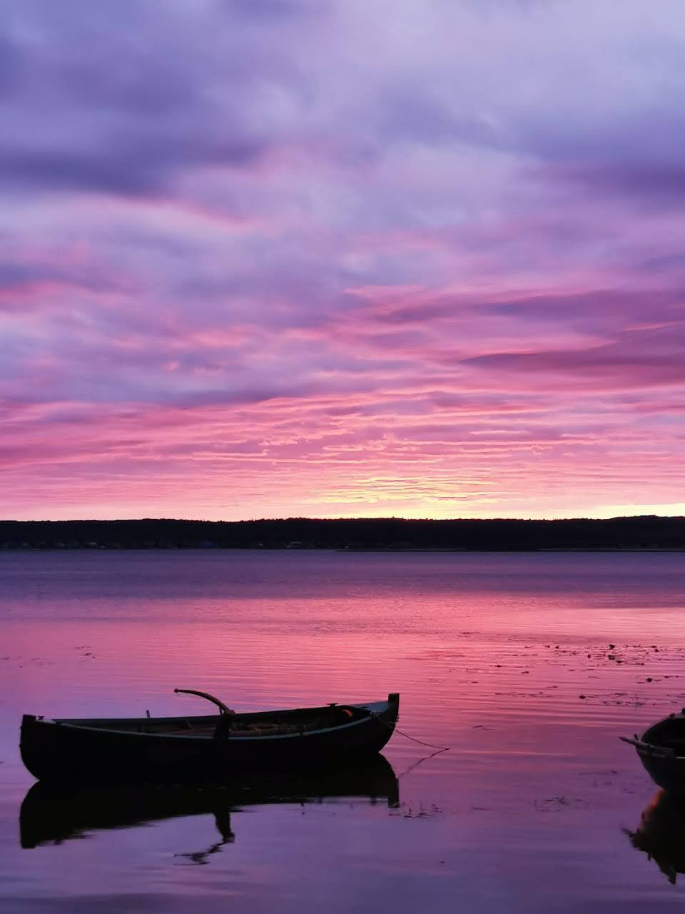 Кенозерские парусные практики - 8 дней. (44/72)