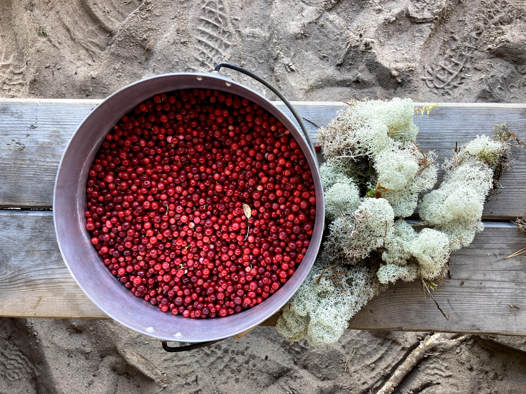 Кенозерские парусные практики - 8 дней. (10/72)