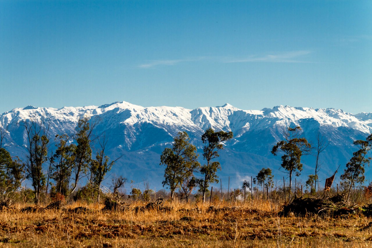 Ми-Мимоза-тур в Абхазию (6/26)
