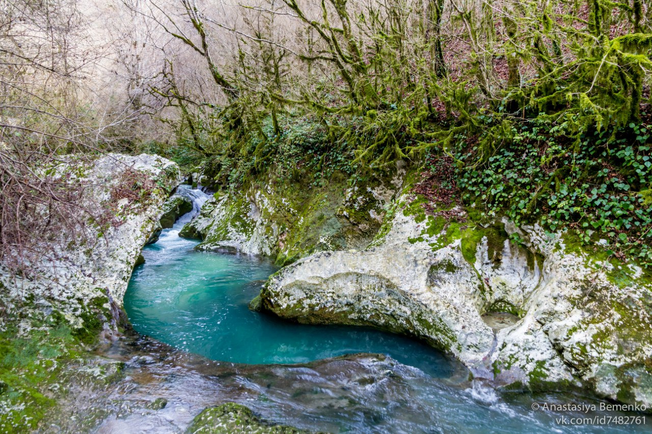 Ми-Мимоза-тур в Абхазию (3/26)
