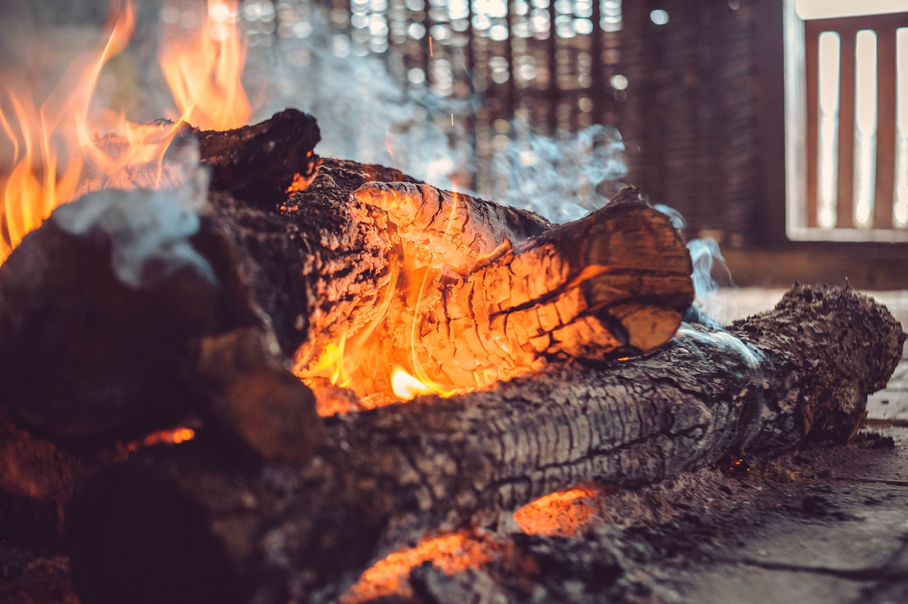 Ми-Мимоза-тур в Абхазию (4/26)