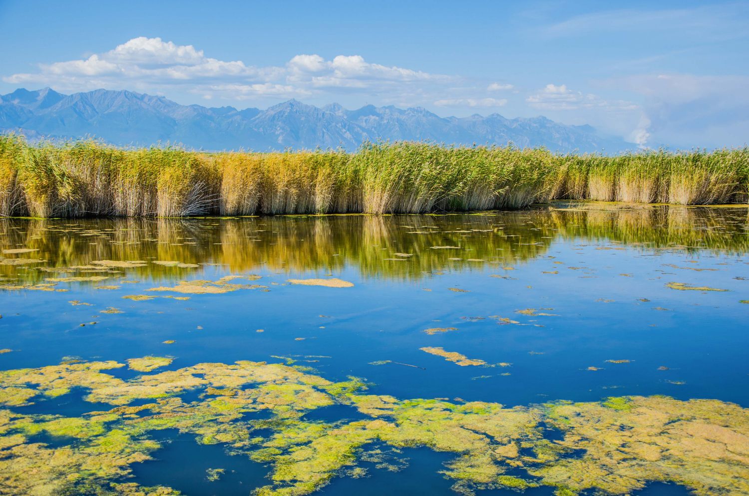 Байкал Бурятия Баргузин Цветение Сакуры Авторский Мультитур Айс-Флоатинг+Sup (20/63)
