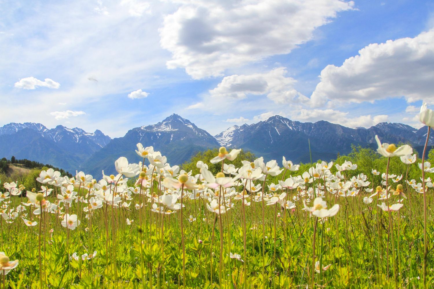 Байкал Бурятия Баргузин Цветение Сакуры Авторский Мультитур Айс-Флоатинг+Sup (8/63)