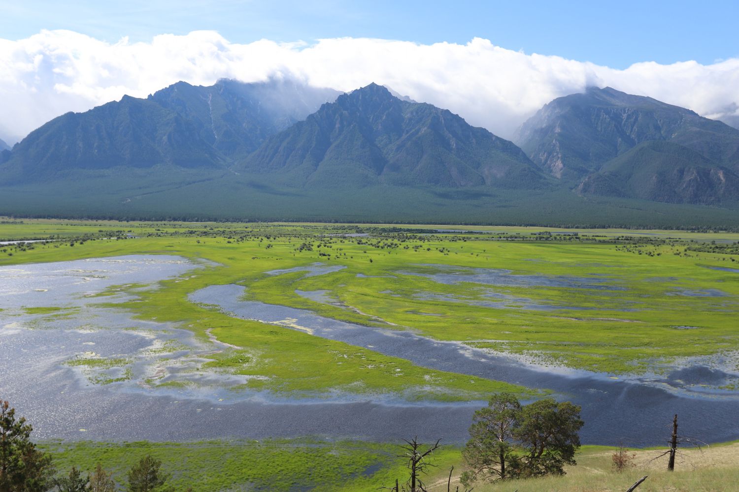 Байкал Бурятия Баргузин Цветение Сакуры Авторский Мультитур Айс-Флоатинг+Sup (11/63)