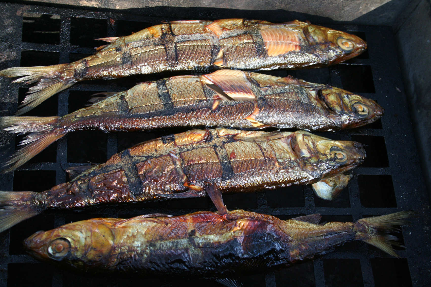 Байкал Бурятия Баргузин Цветение Сакуры Авторский Мультитур Айс-Флоатинг+Sup (34/63)