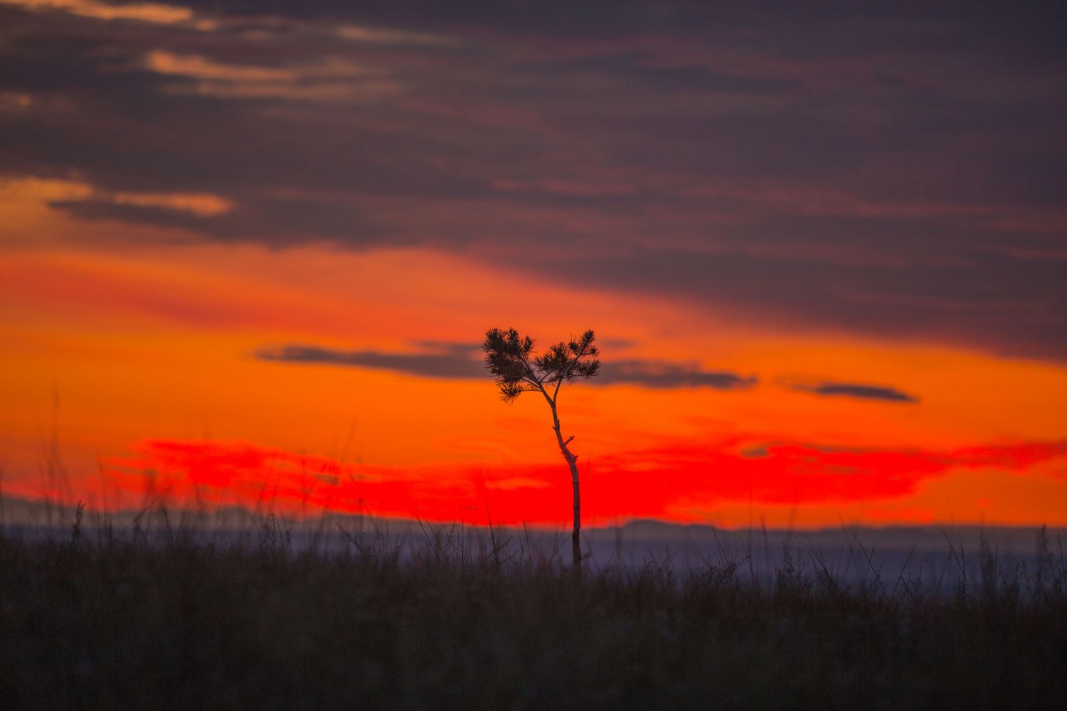 Байкал Бурятия Баргузин Цветение Сакуры Авторский Мультитур Айс-Флоатинг+Sup (9/63)