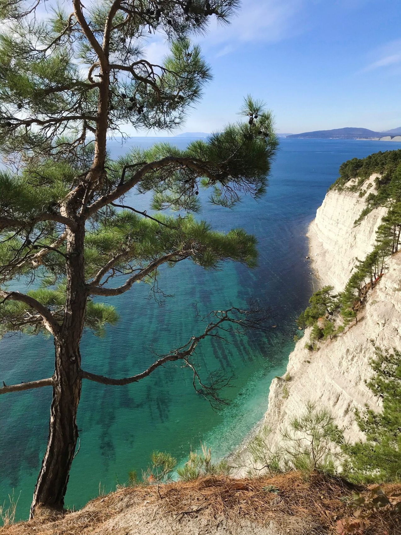 Русская Тоскана - винный тур (33/52)