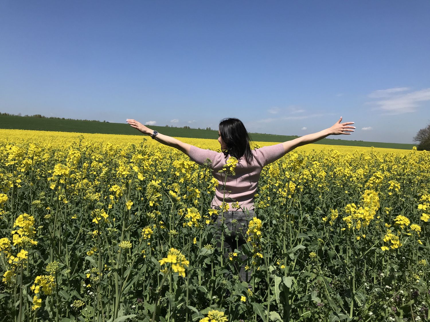 Русская Тоскана - винный тур (10/52)