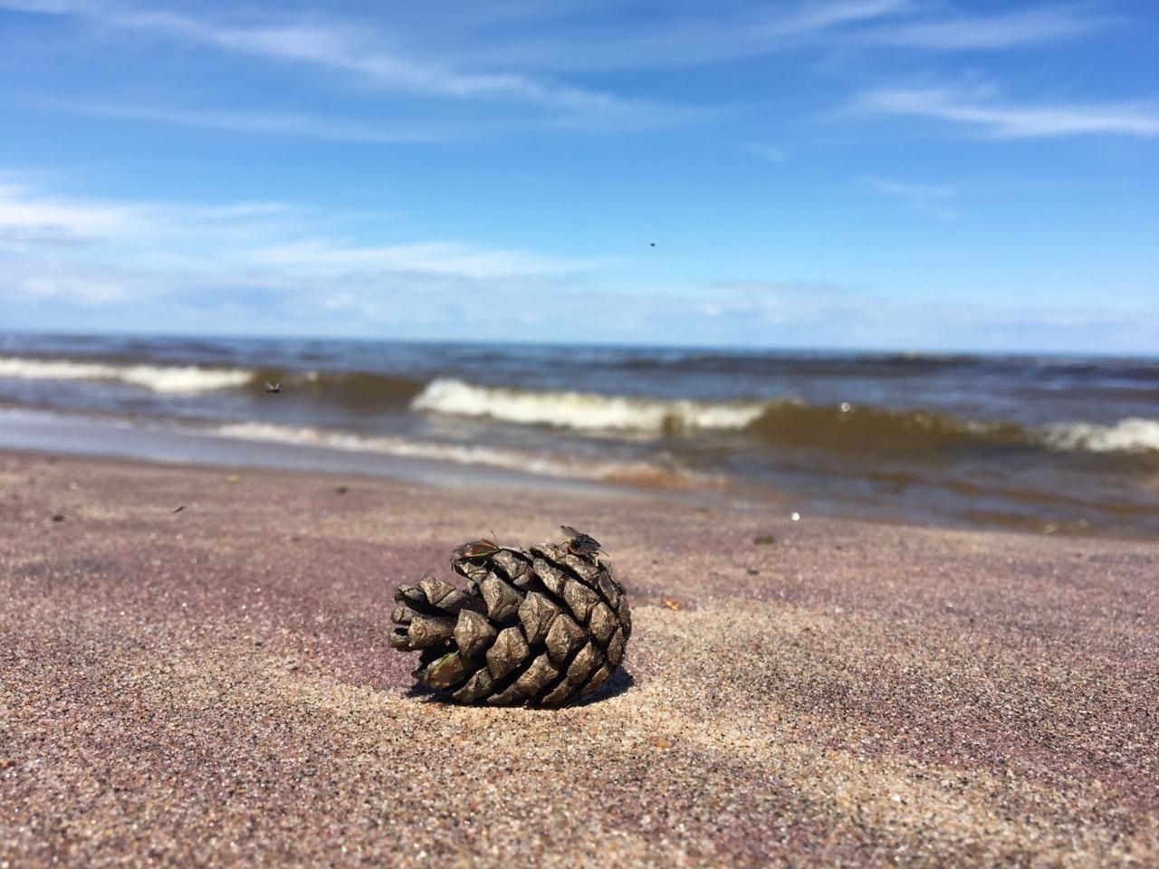 Ладога- острова (19/103)