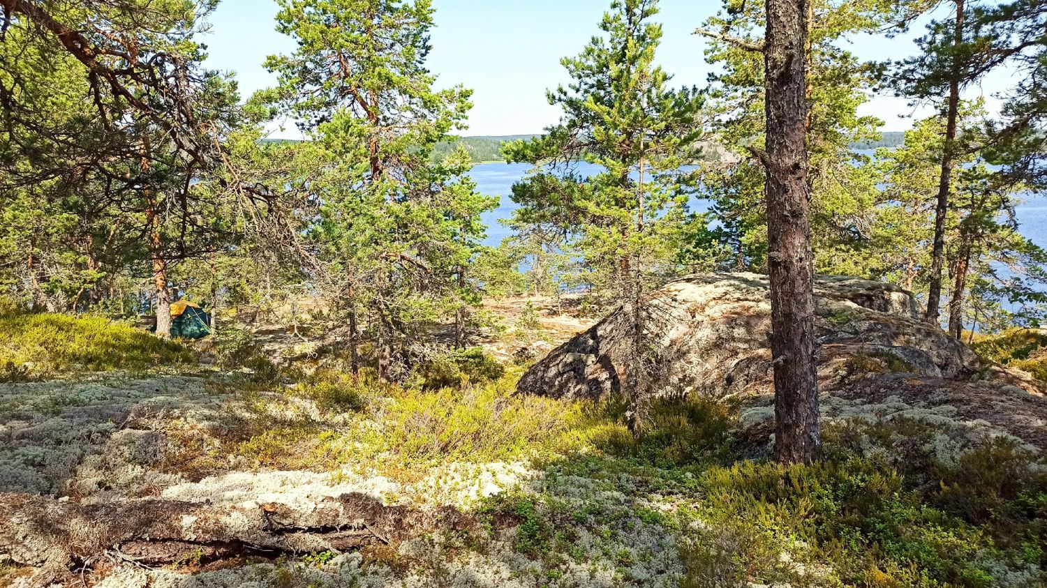 Ладога- острова (39/103)