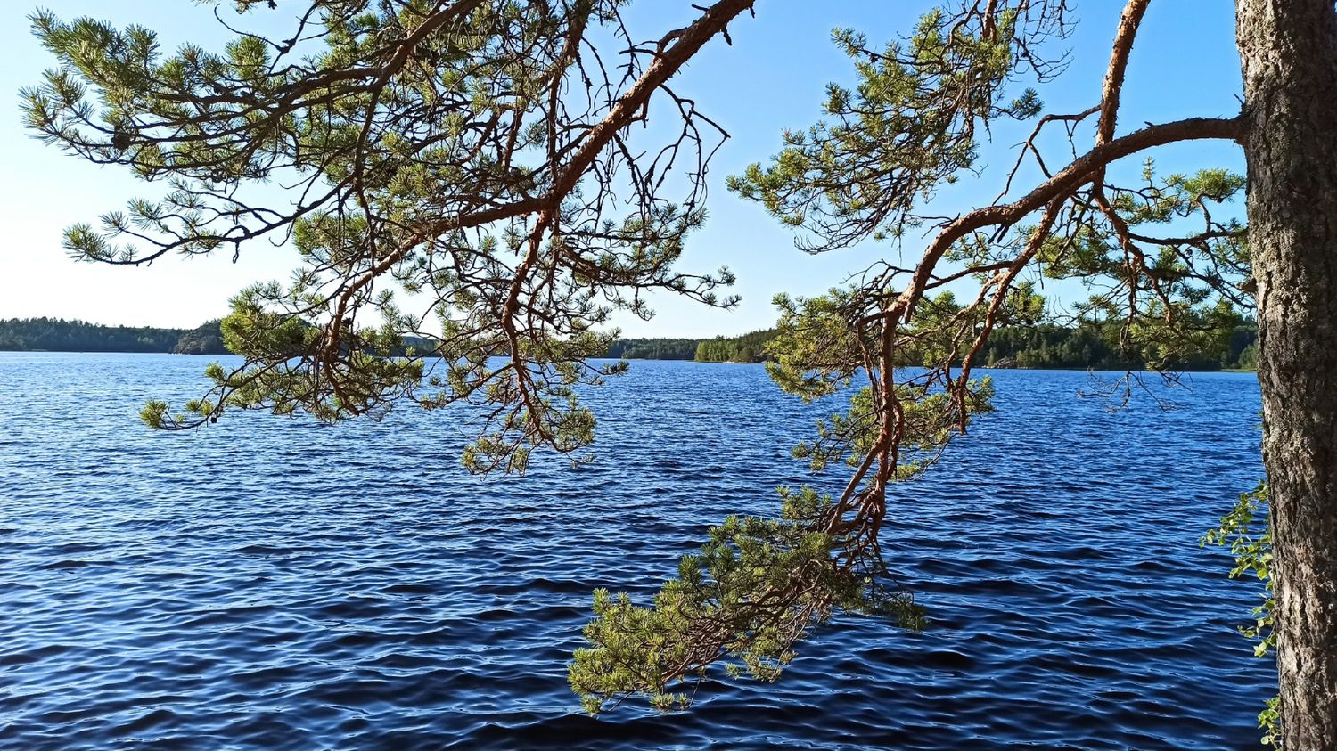 Ладога- острова (20/103)