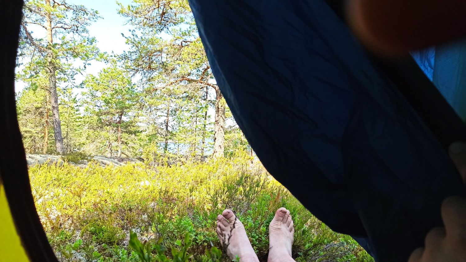 Ладога- острова (41/103)