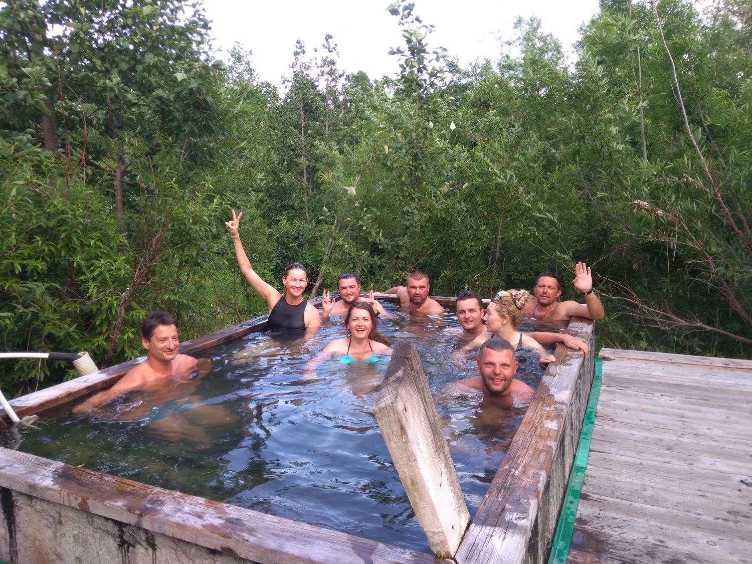 От медведя до касатки (3/35)