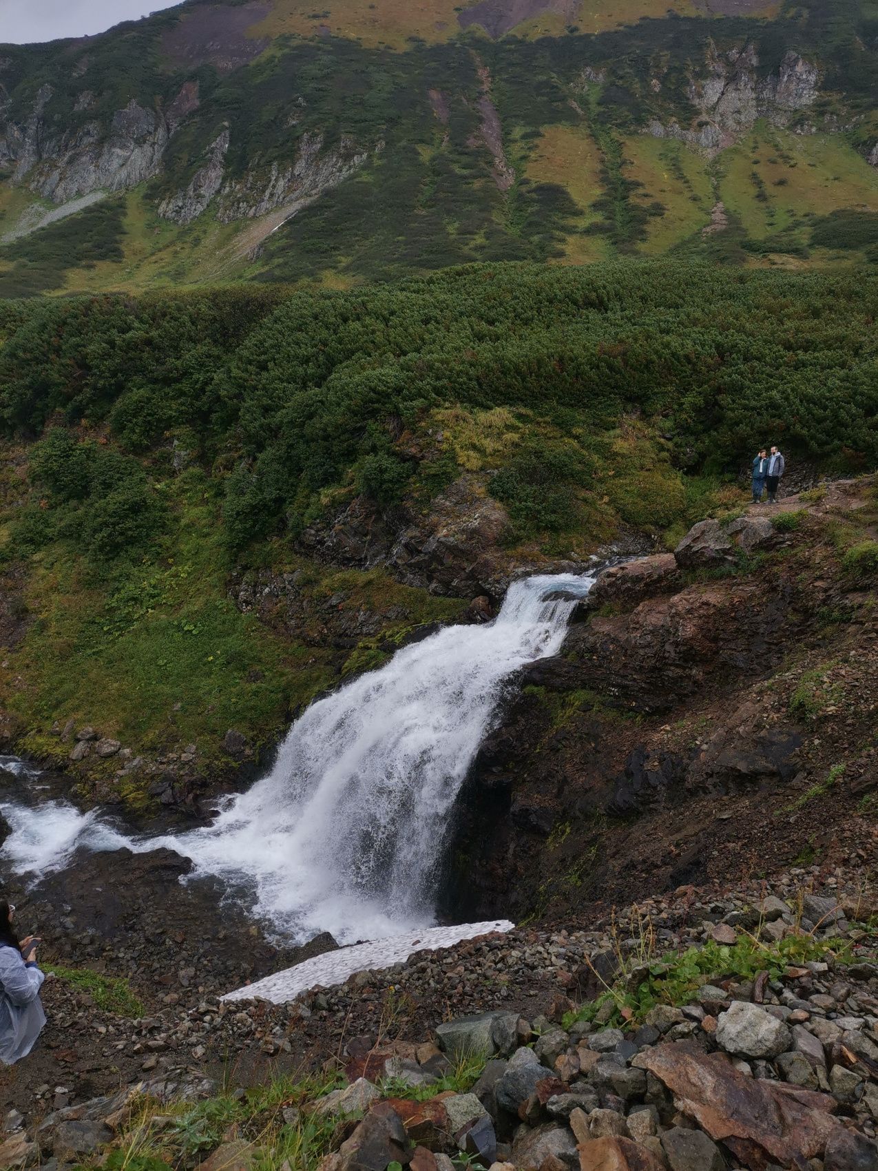 От медведя до касатки (4/35)