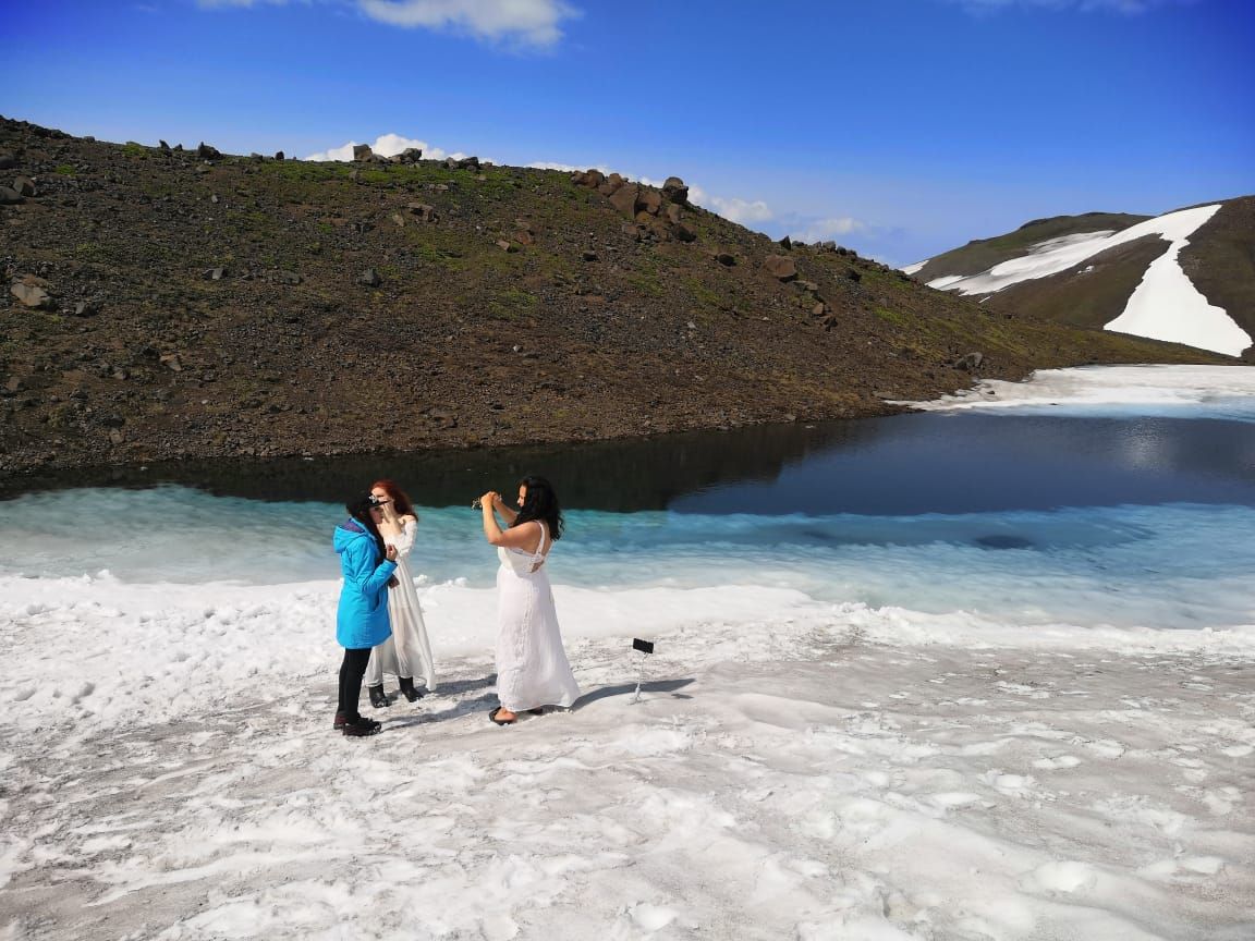 От медведя до касатки (5/35)