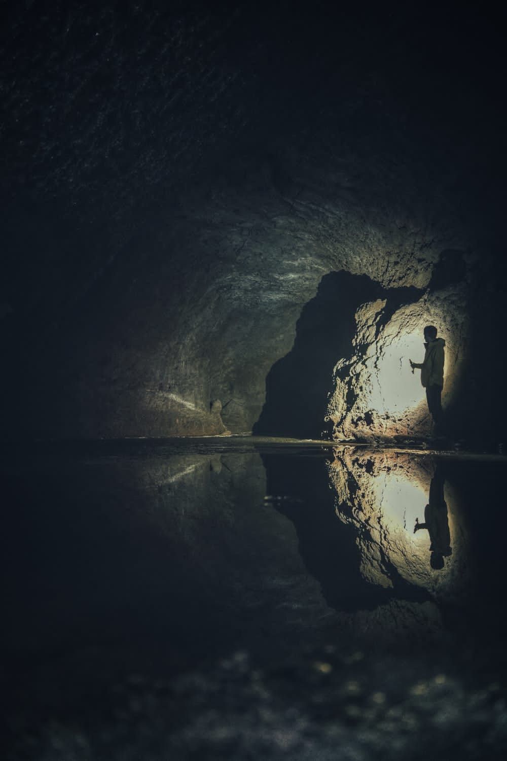 От медведя до касатки (7/35)