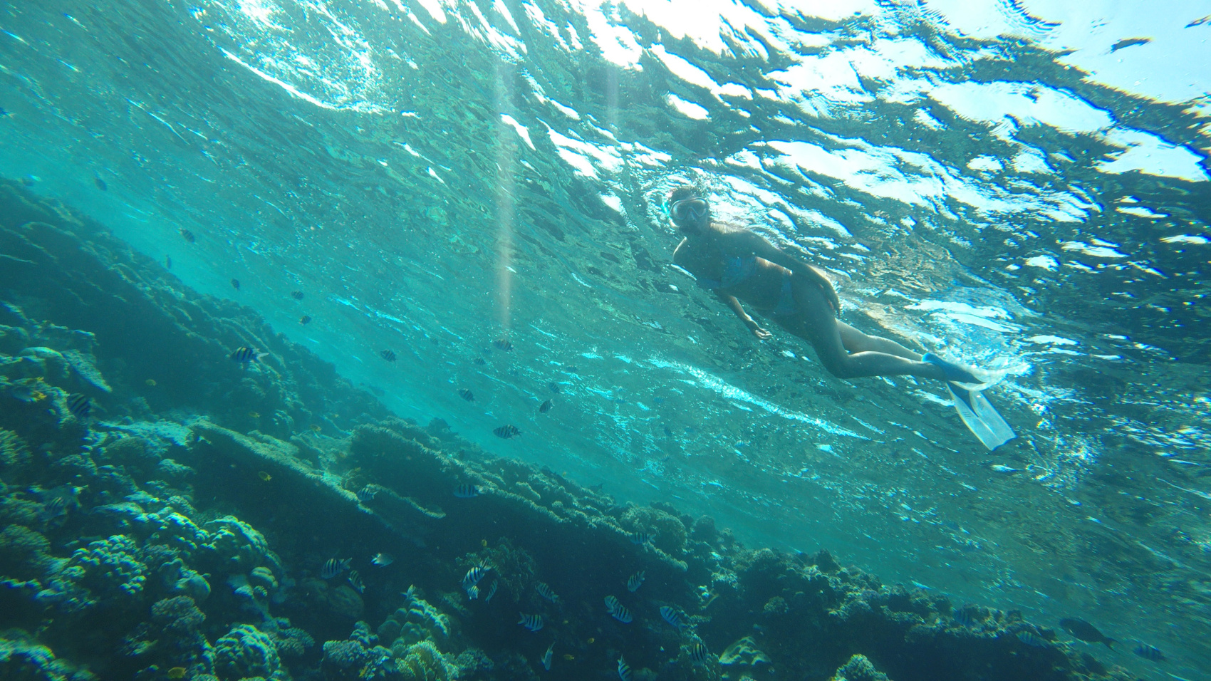 Осень в Египте: Каир/Александрия/Сахара/6 пирамид/Луксор/Море! (40/69)