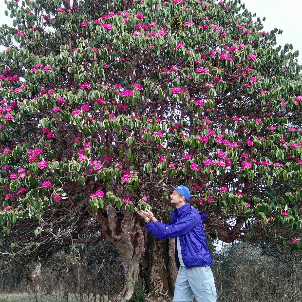 Майские Праздники В Непале (23/70)
