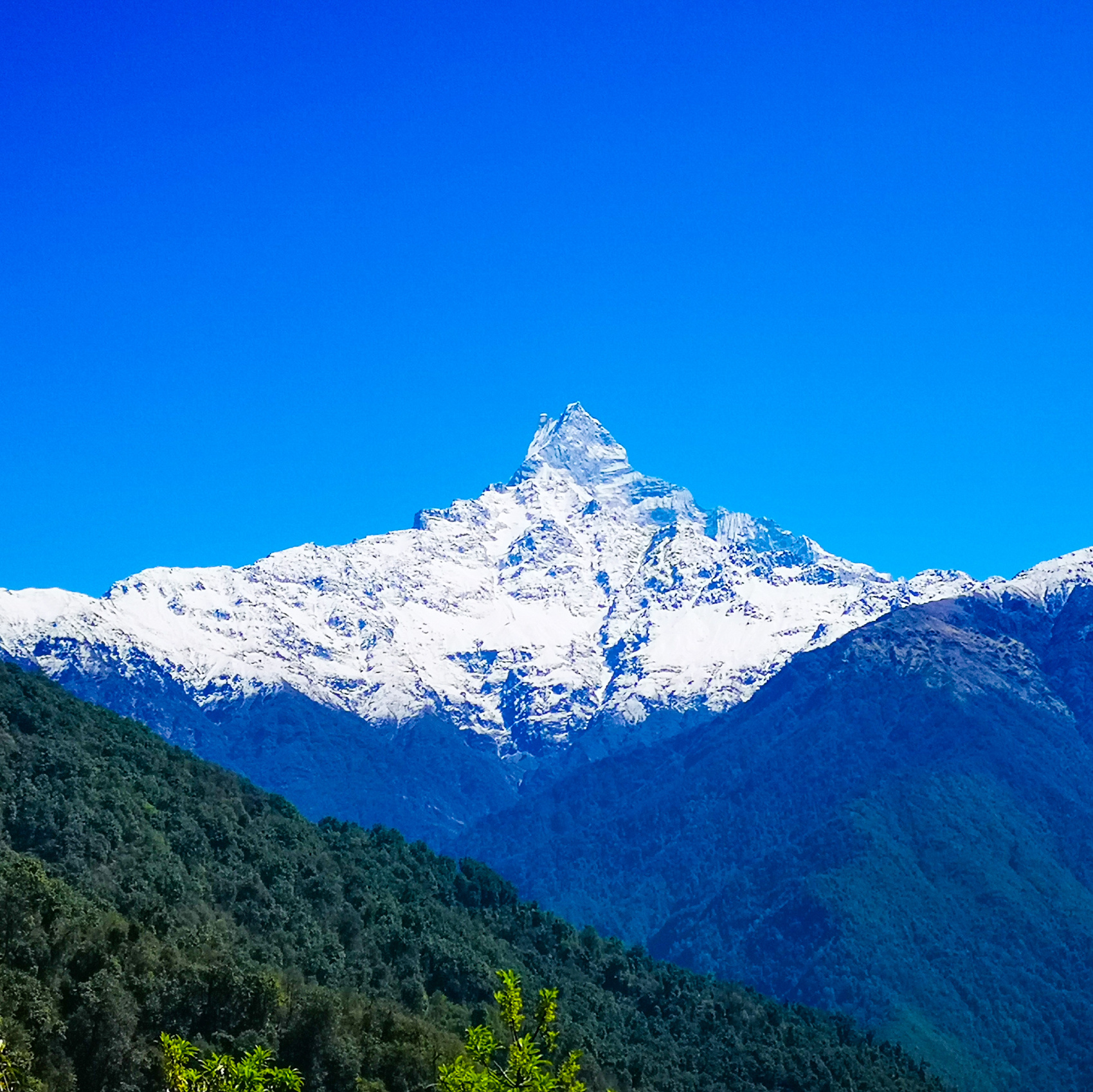Майские Праздники В Непале (25/70)