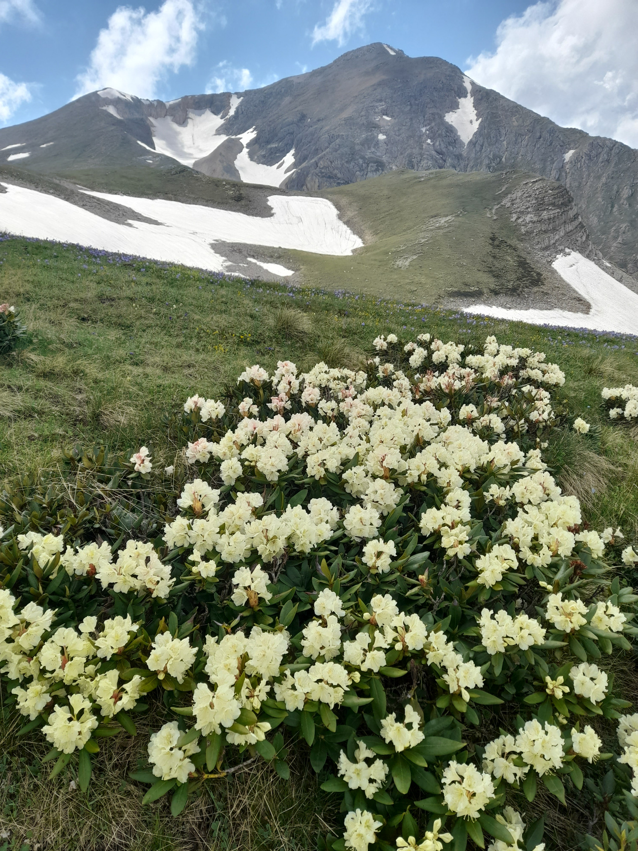 Мои первые горы: Адыгея (11/33)