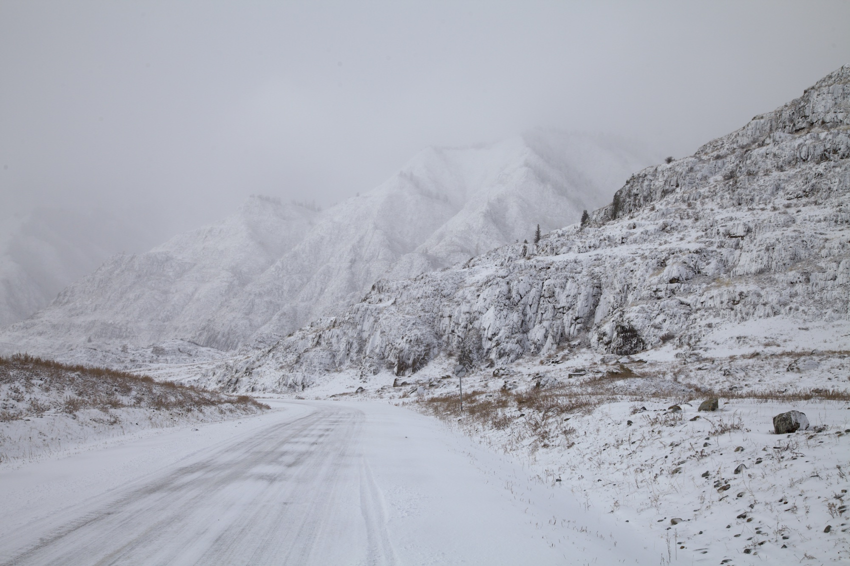 Путешествие к тайнам Горного Алтая (51/111)