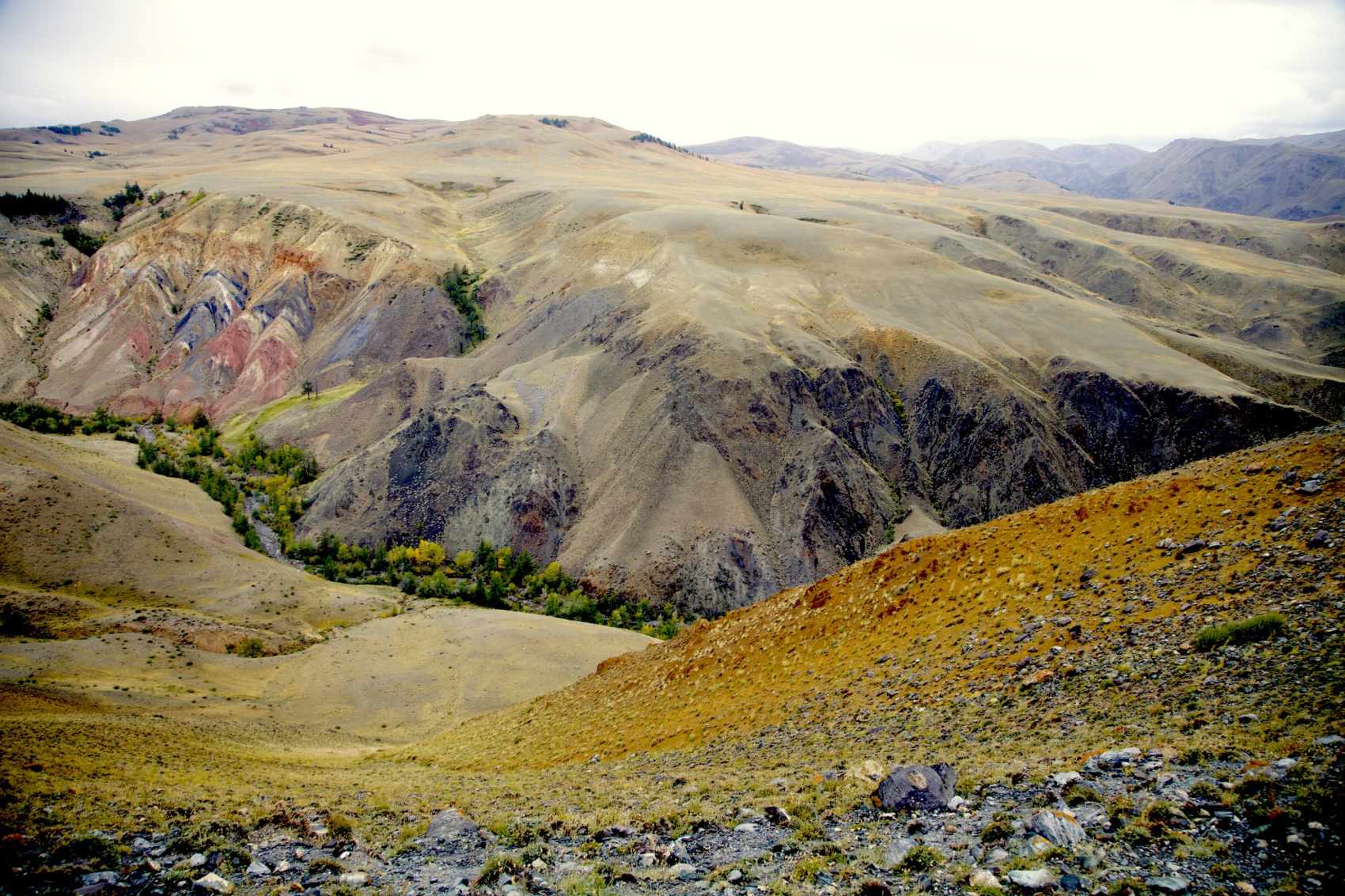 Путешествие к тайнам Горного Алтая (65/111)