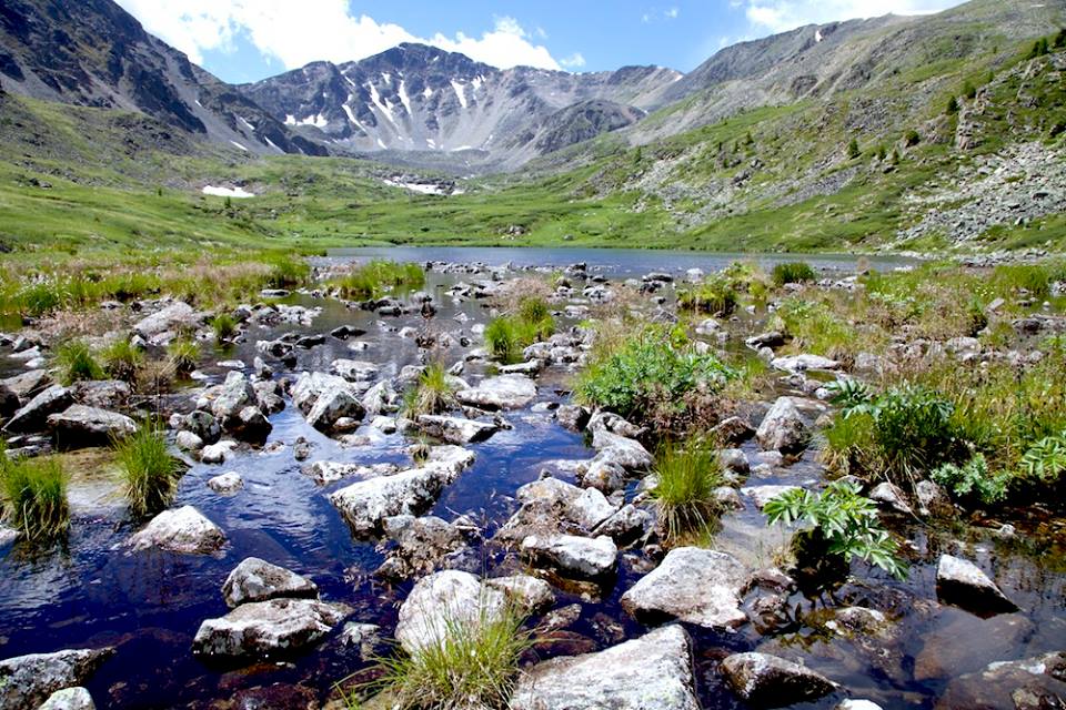 Путешествие к тайнам Горного Алтая (44/111)