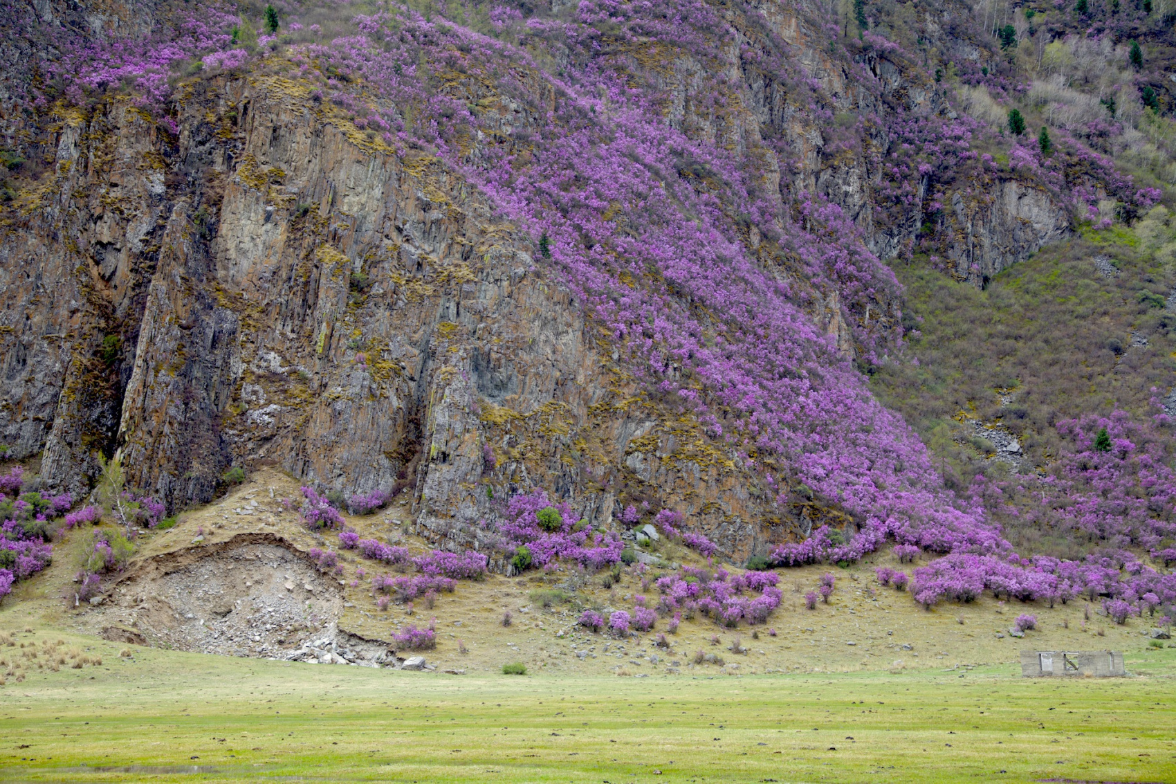 Путешествие к тайнам Горного Алтая (18/111)