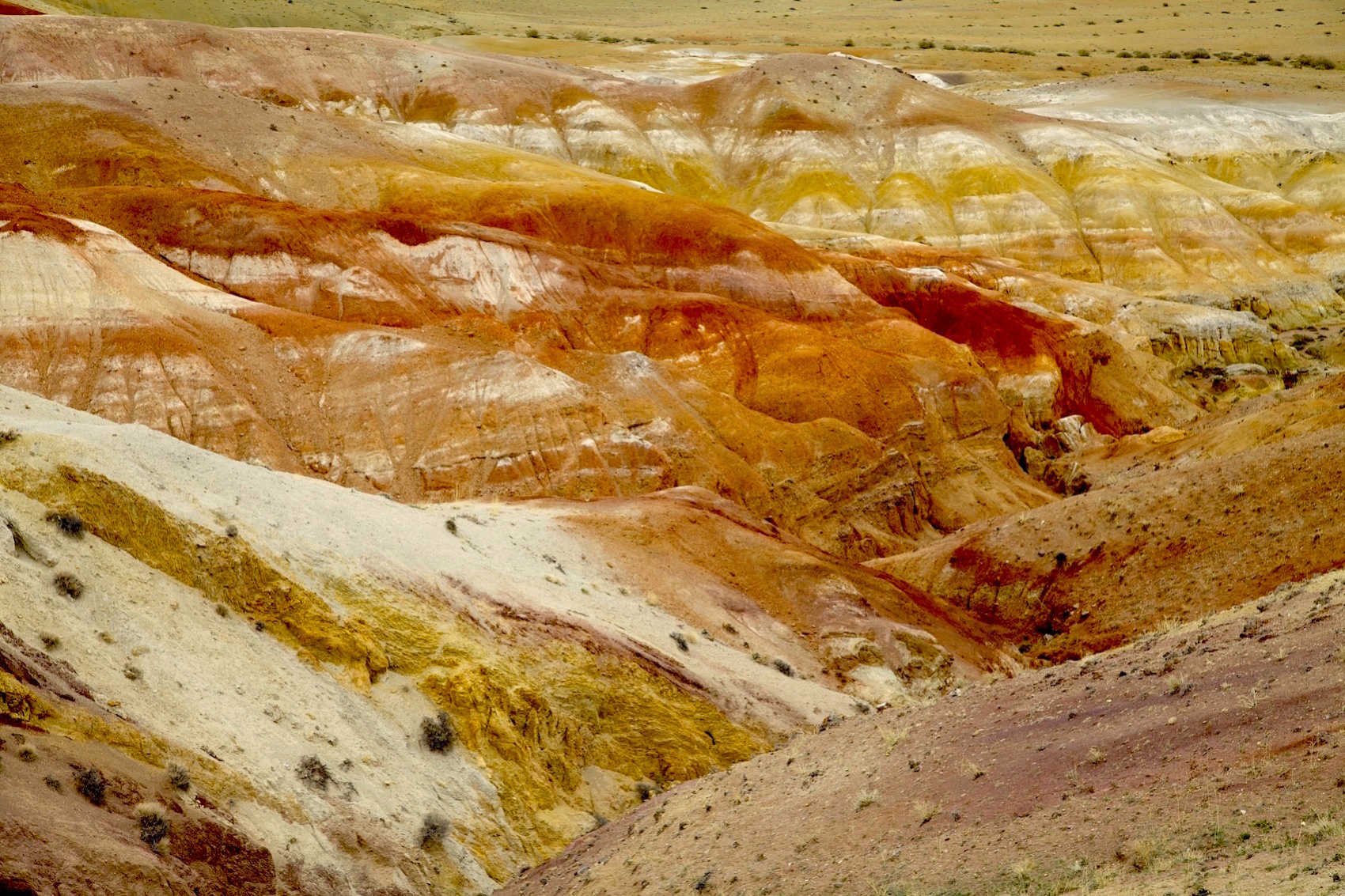 Путешествие к тайнам Горного Алтая (23/111)