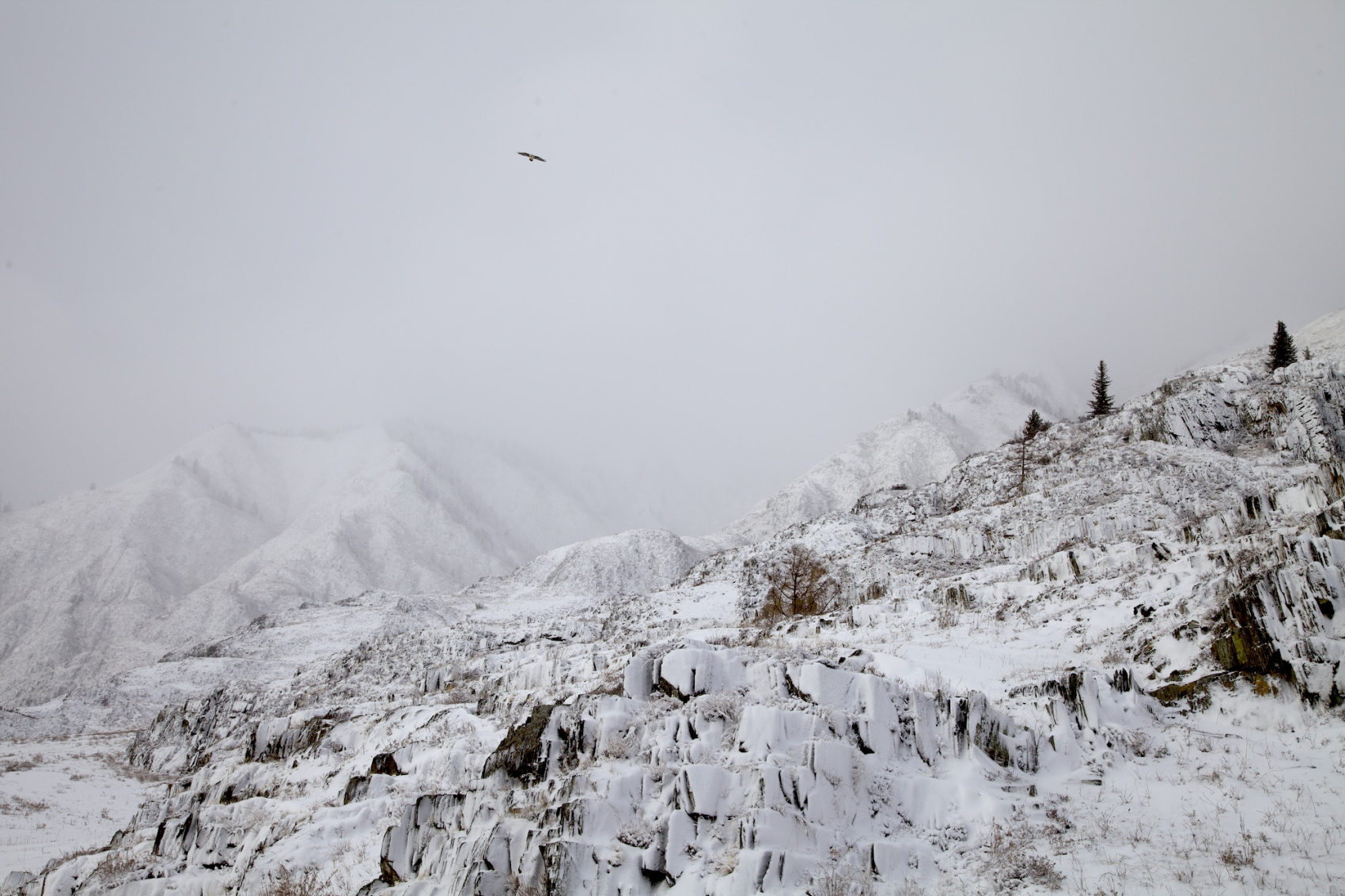 Путешествие к тайнам Горного Алтая (56/111)