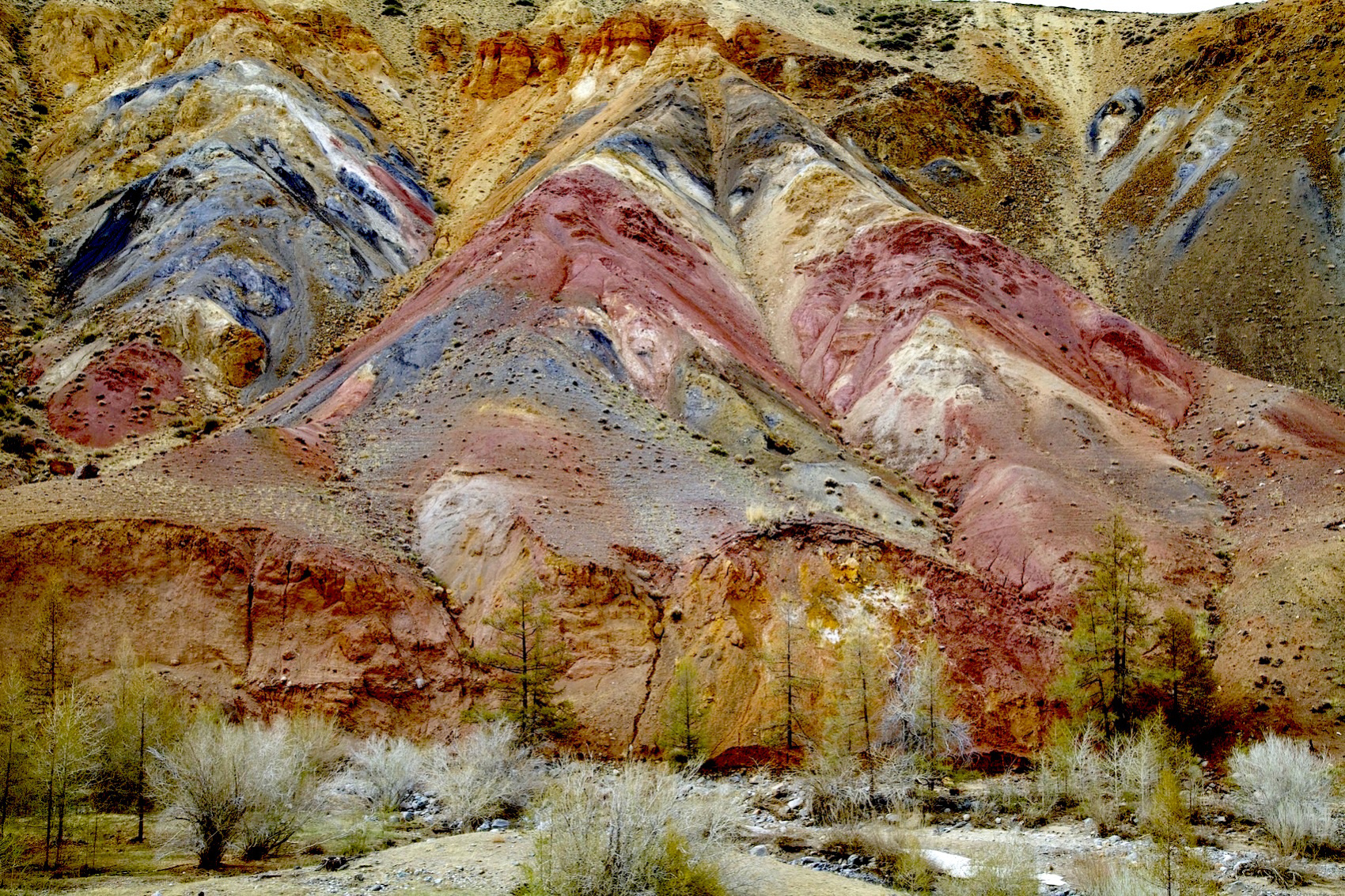 Путешествие к тайнам Горного Алтая (21/111)