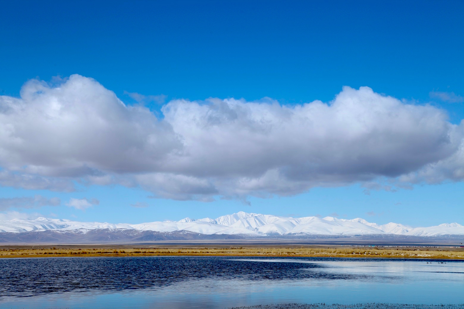 Путешествие к тайнам Горного Алтая (50/111)
