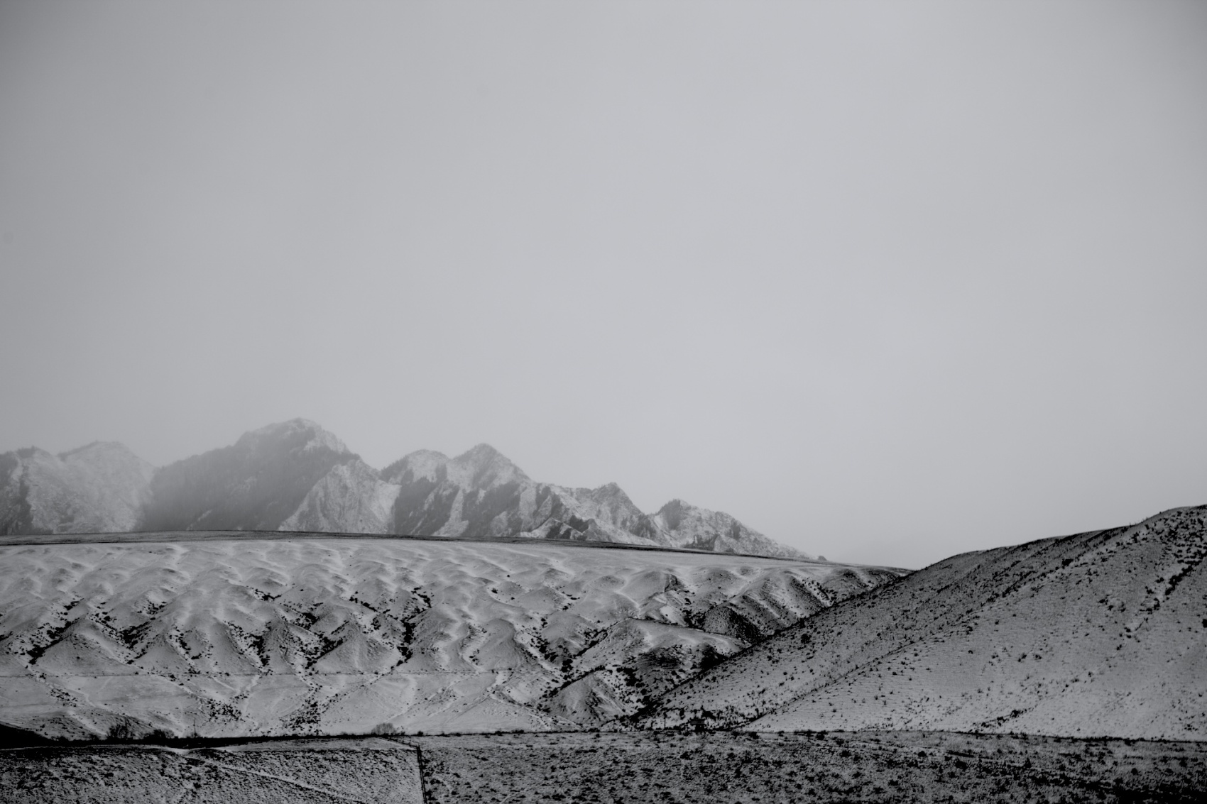 Путешествие к тайнам Горного Алтая (53/111)