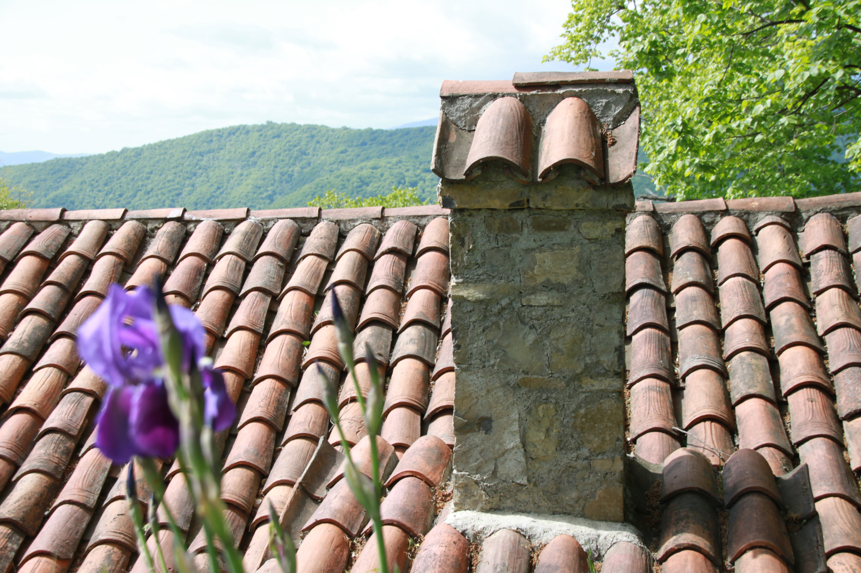 Тбилиси - Отпуск! 5 дневный тур с погружением в Грузию (25/52)