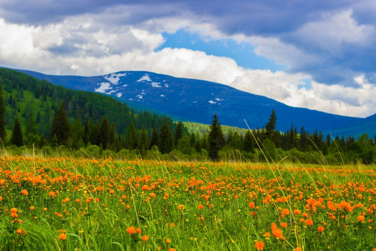 Мини Золотое Кольцо Алтая (2/23)
