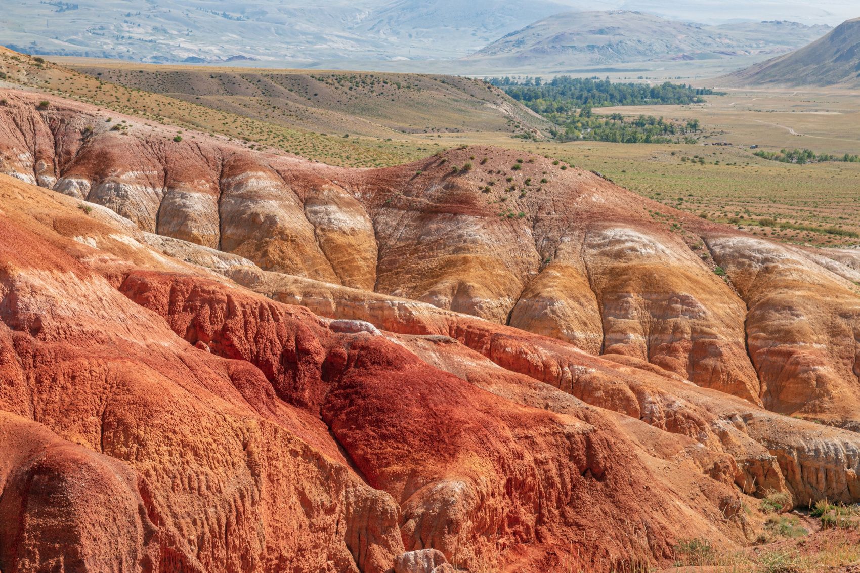 Мини Золотое Кольцо Алтая (5/23)