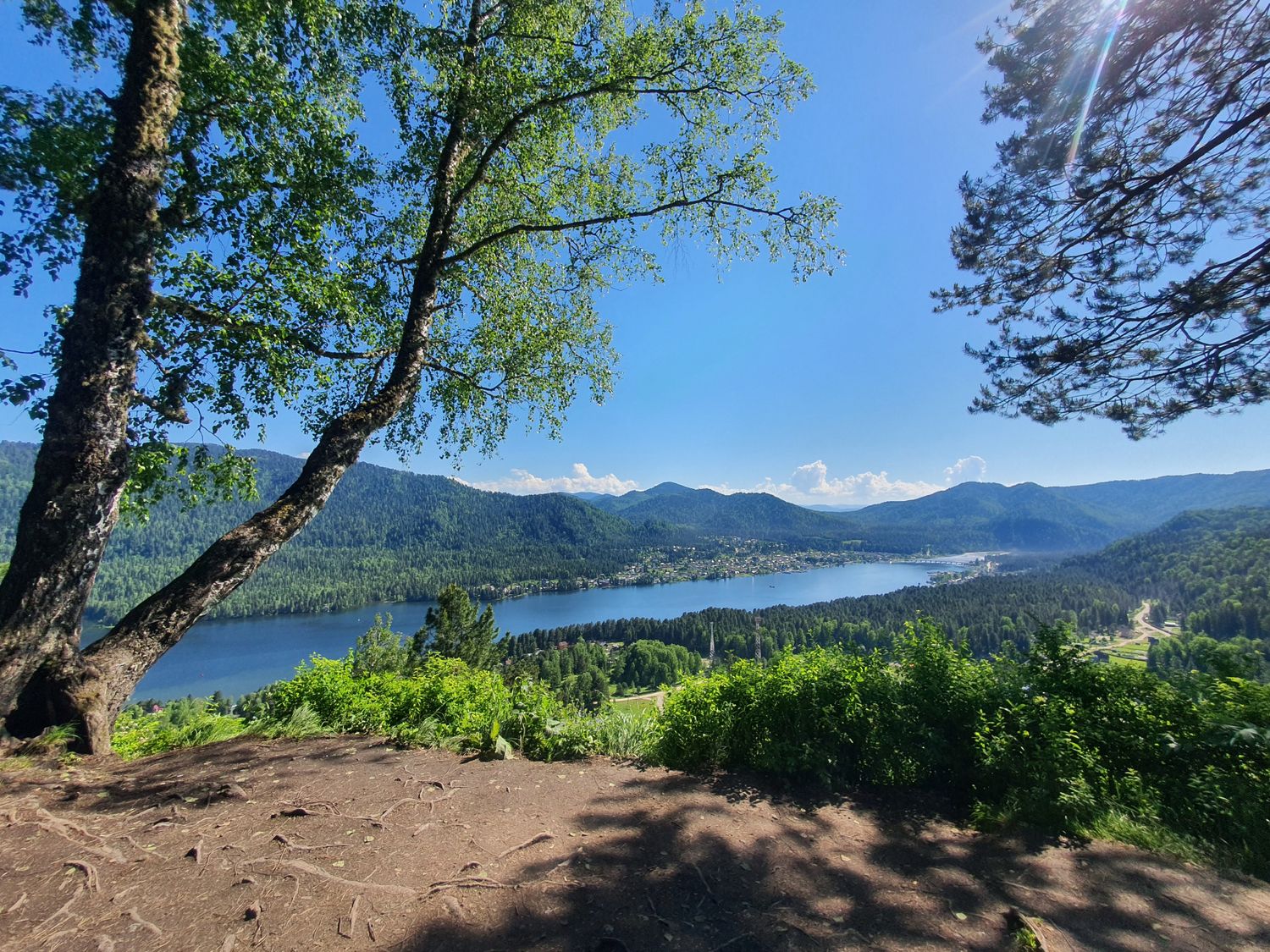 Алтай с комфортом. Поехали! (8/33)