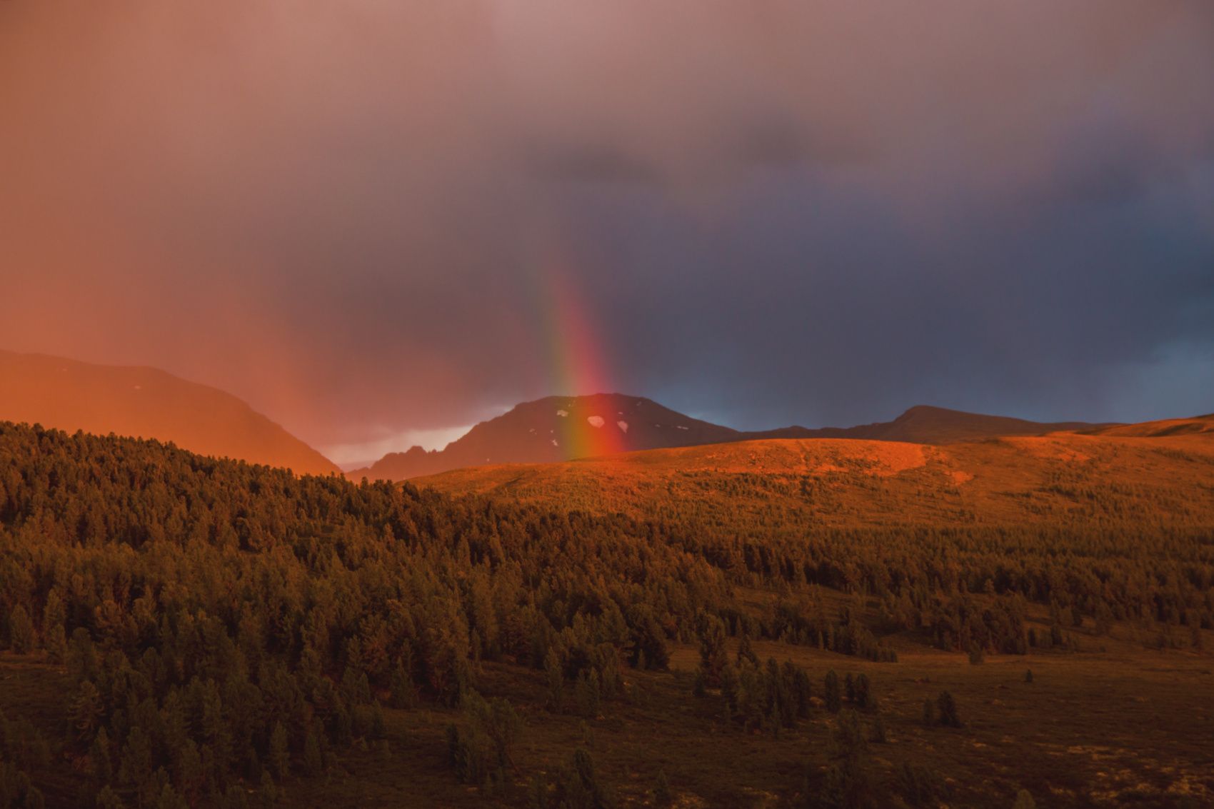 Алтай с комфортом. Поехали! (3/33)