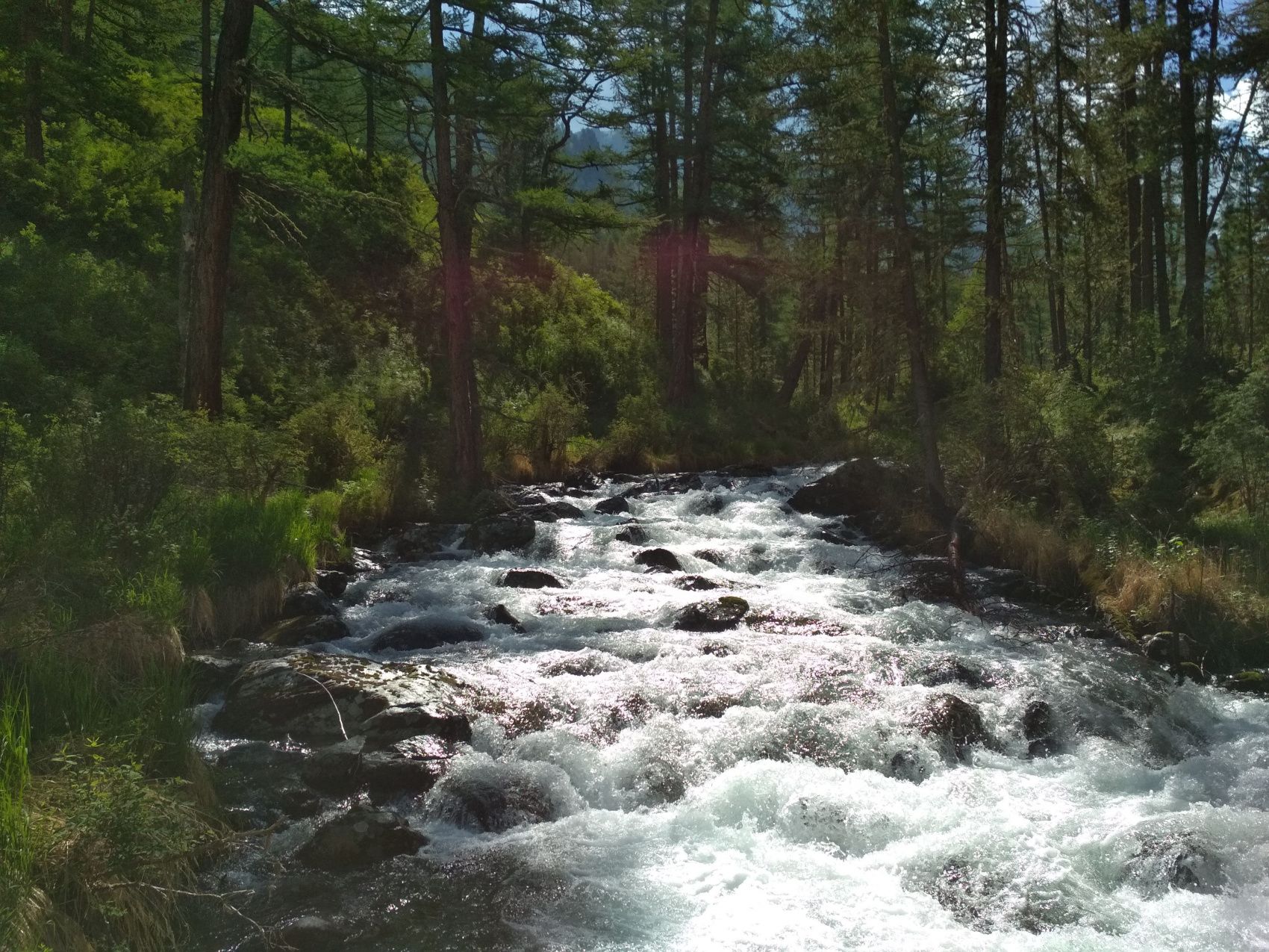 Алтай за 10 дней: обзорная экспедиция по топовым местам (6/68)
