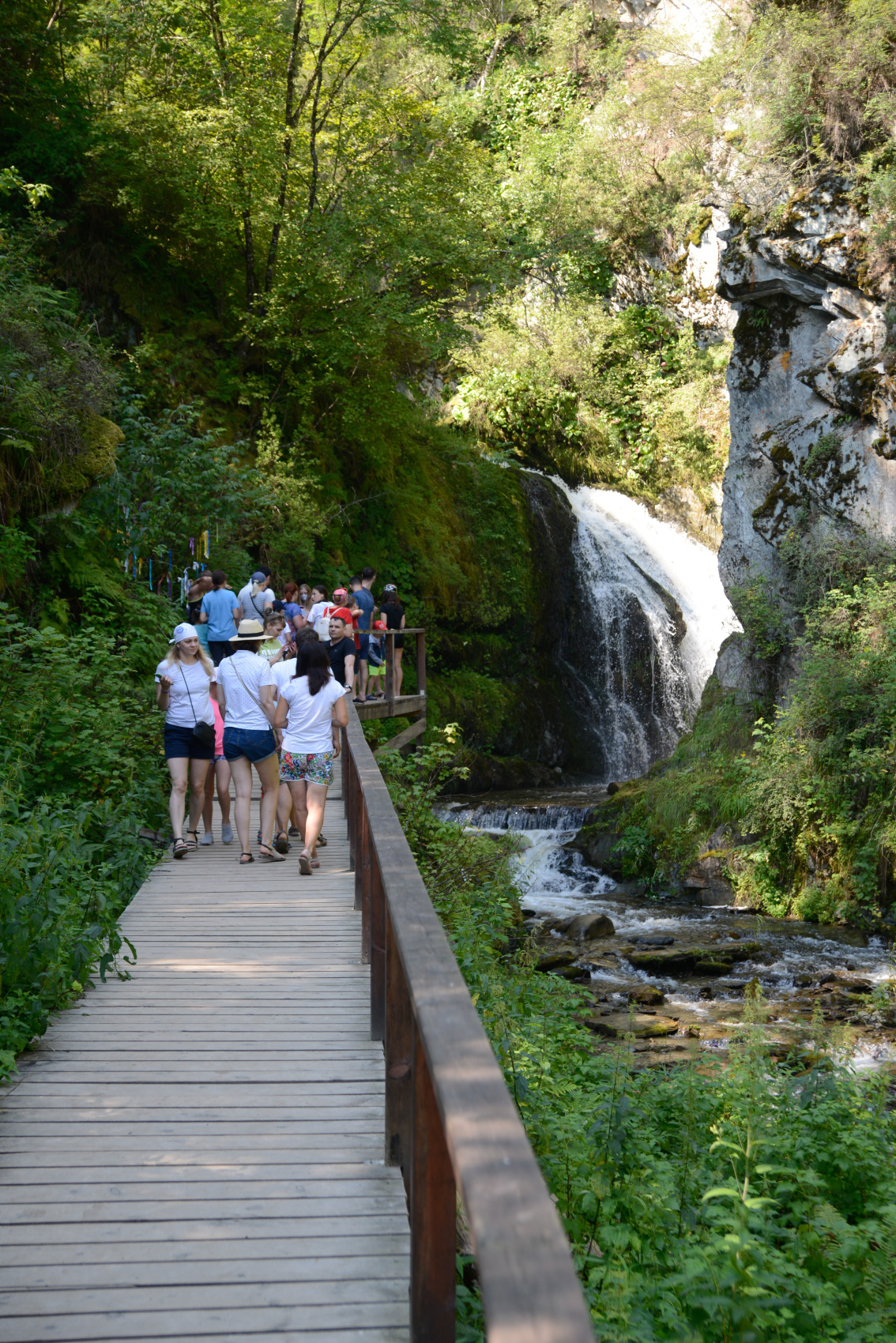 Алтай с севера на юг. Комфорт-тур (57/81)